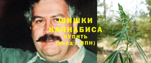 стаф Абдулино
