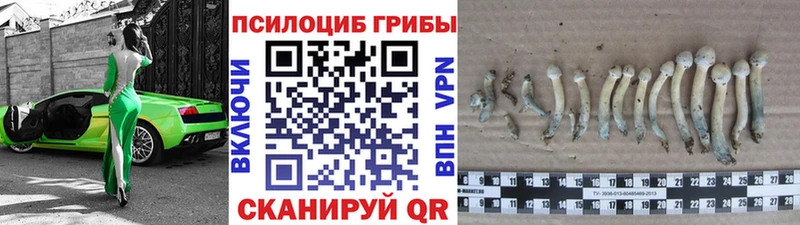 Псилоцибиновые грибы прущие грибы  где купить   Нижняя Тура 